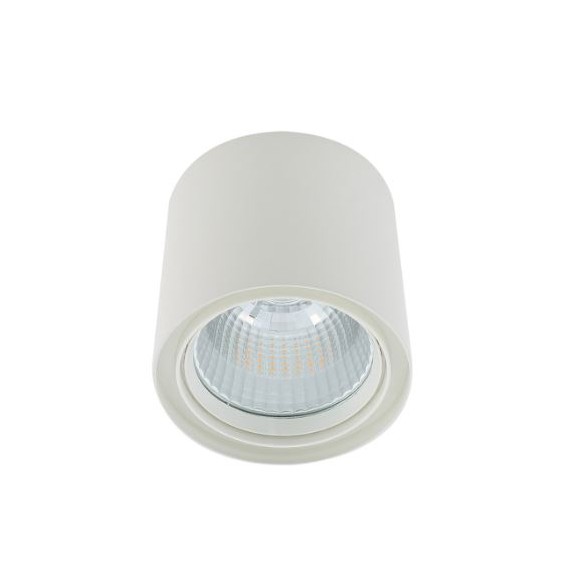 Italux 5900644409342 LED bodové stropné svietidlo Luna White | 40W integrovaný LED zdroj | 3800lm | 3000K