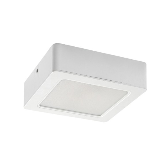 Rabalux 98071196 LED prisadené stropné svietidlo Shaun2  | 15W integrovaný LED zdroj | 1570lm | 4000K