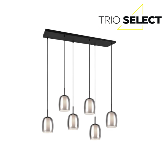 Trio SELECT 317500654  závesné stropné svietidlo BARRET  E14