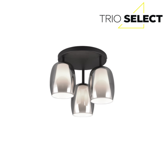 Trio SELECT 617500354  prisadené stropné svietidlo BARRET  E14