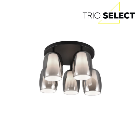 Trio SELECT 617500554  prisadené stropné svietidlo BARRET  E14